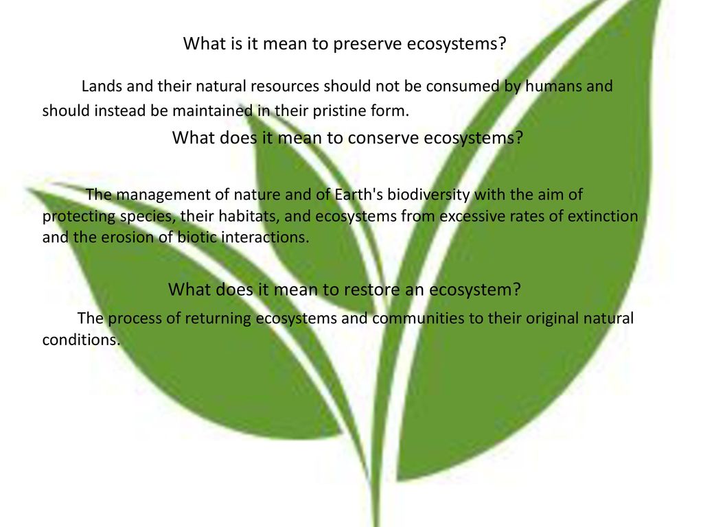 What does preserve mean deals